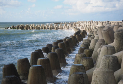 tetrapods image